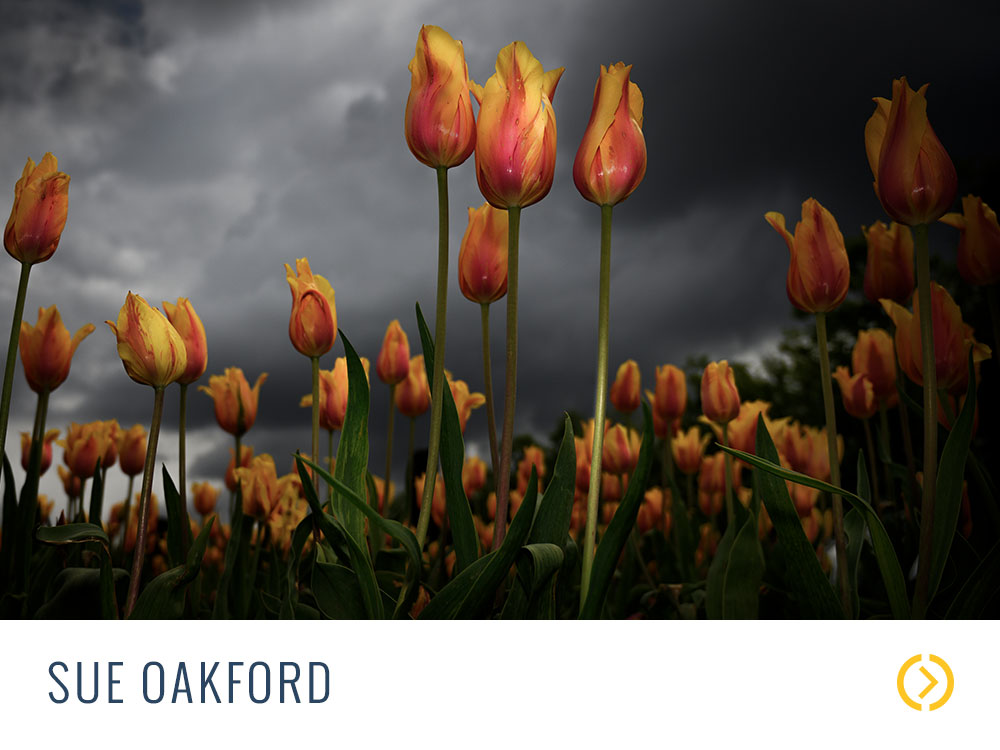 sue oakford photography