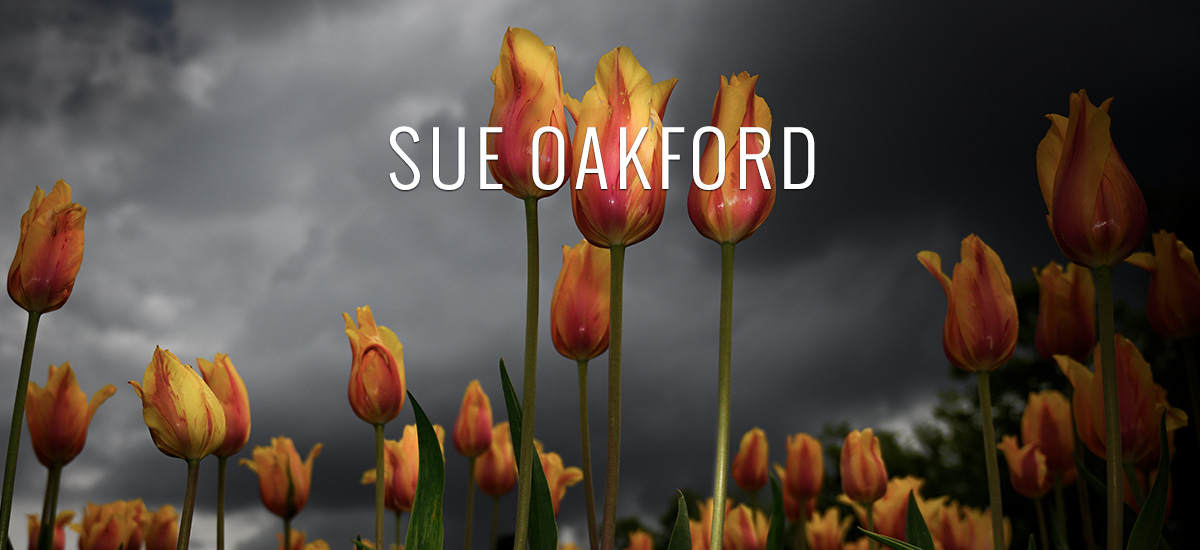 Sue Oakford
